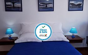 Golfinho Azul